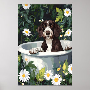 German Wirehaired Pointer In Bathtub Poster, Funny Poster