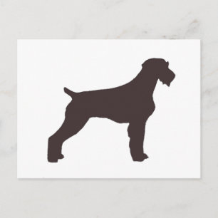german wirehaired pointer liver silo postcard
