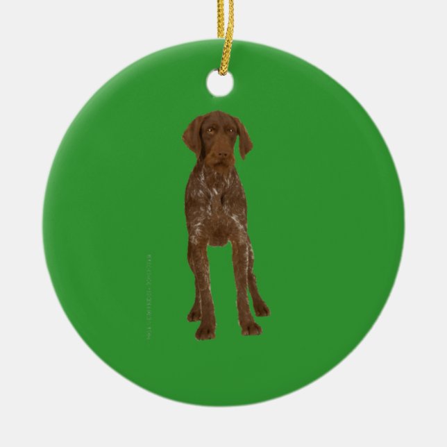 German Wirehaired Pointer Ornament (Front)