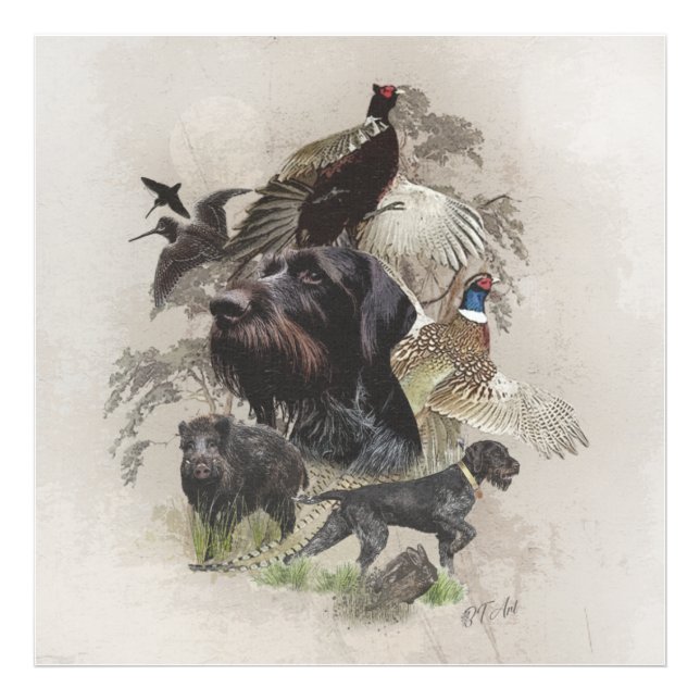 German Wirehaired Pointer    Photo Print (Front)