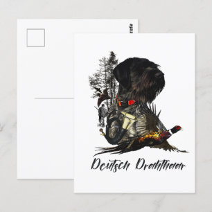 German Wirehaired Pointer     Postcard