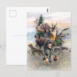 German Wirehaired Pointer   Postcard