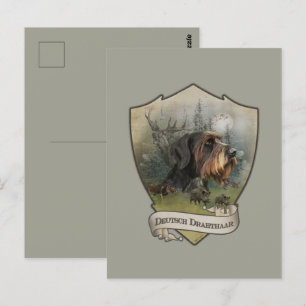 German Wirehaired Pointer Postcard