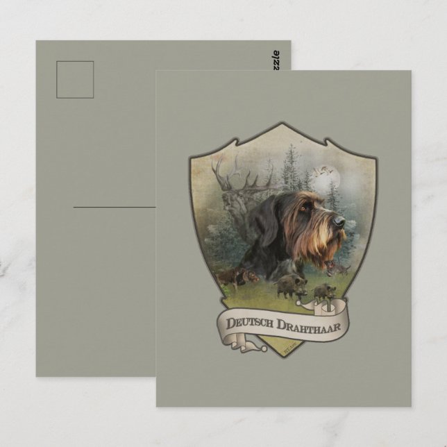 German Wirehaired Pointer Postcard (Front/Back)
