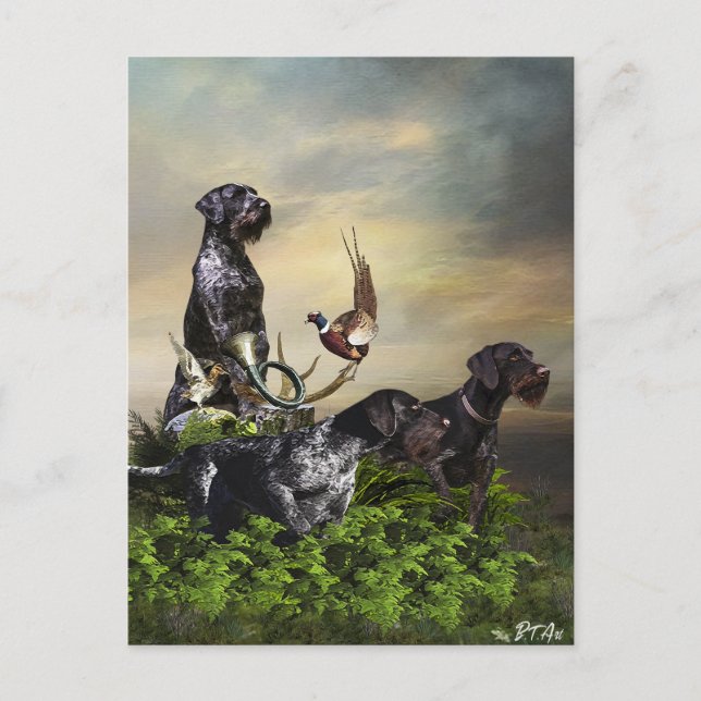  German Wirehaired Pointer     Postcard (Front)