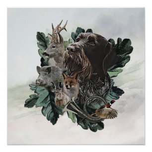 German Wirehaired Pointer Poster