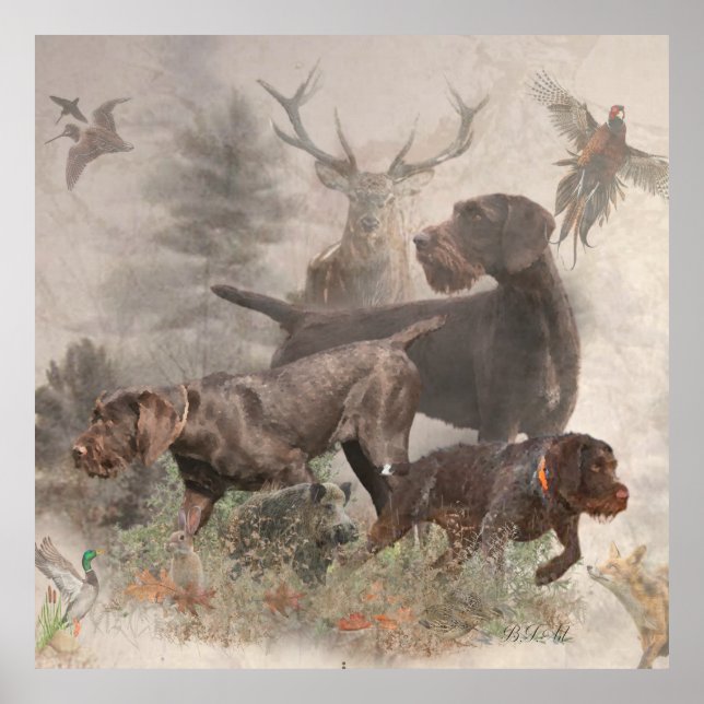  German Wirehaired Pointer     Poster (Front)