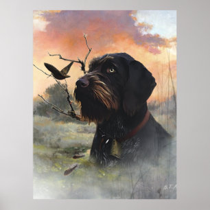 German Wirehaired Pointer Poster