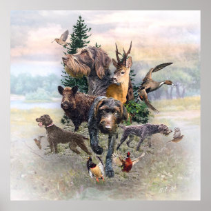 German Wirehaired Pointer Poster