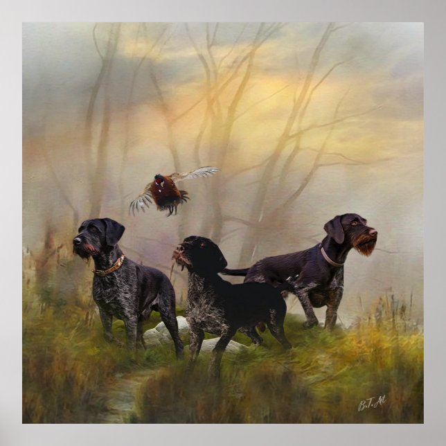  German Wirehaired Pointer   Poster (Front)