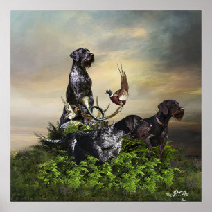 German Wirehaired Pointer Poster