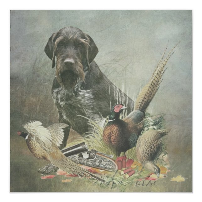 German Wirehaired Pointer     Poster (Front)