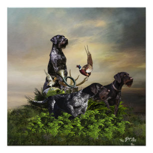 German Wirehaired Pointer Poster