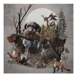 German Wirehaired Pointer Poster