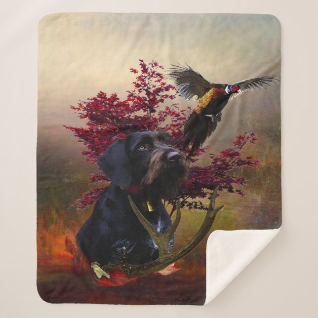 German Wirehaired Pointer Sherpa Blanket (Front)