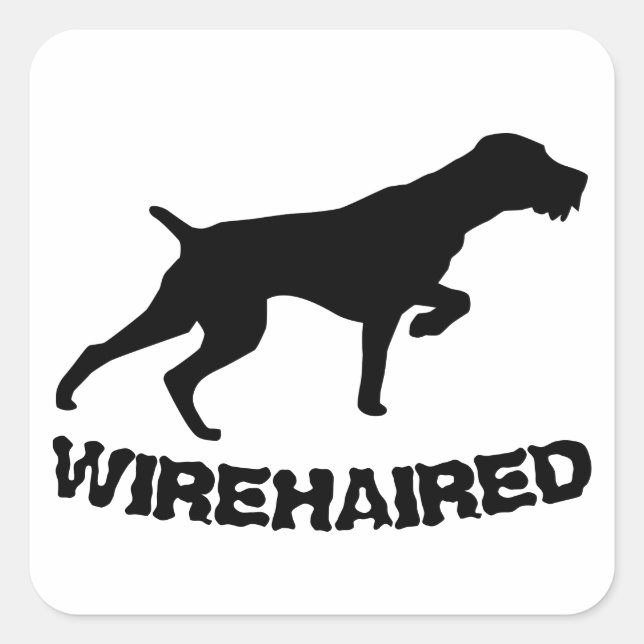 German Wirehaired Pointer Square Sticker (Front)