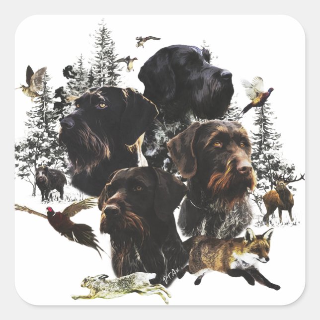  German Wirehaired Pointer     Square Sticker (Front)