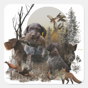 German Wirehaired Pointer Square Sticker