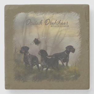  German Wirehaired Pointer    Stone Coaster