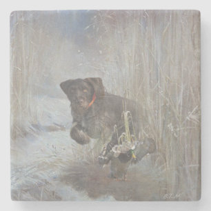  German Wirehaired Pointer Stone Coaster