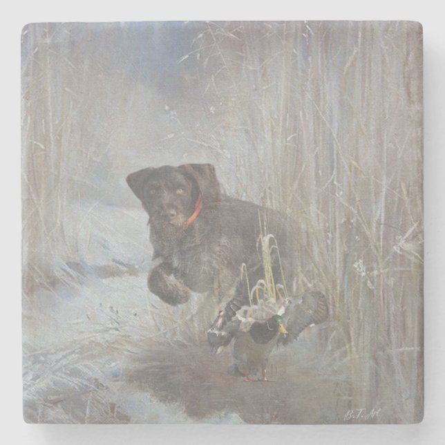  German Wirehaired Pointer Stone Coaster (Front)