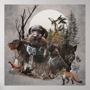 German Wirehaired Pointer Tapestry Gallery Wrap Ac Poster
