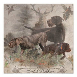 German Wirehaired Pointer Tapestry Poster