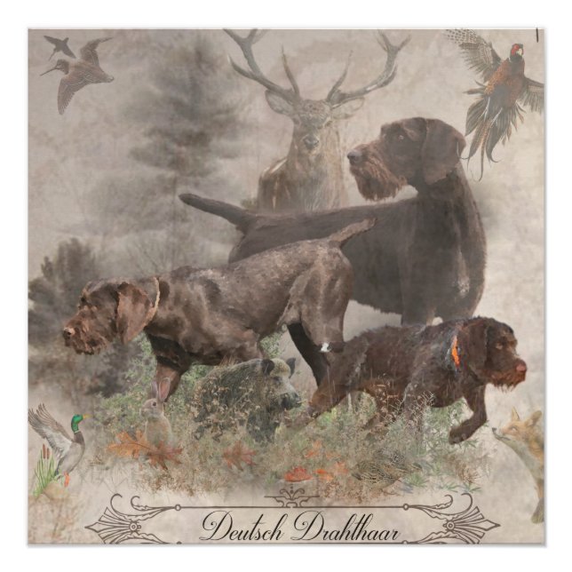 German Wirehaired Pointer  Tapestry Poster (Front)