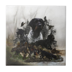 German Wirehaired Pointer Tile