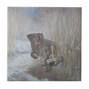  German Wirehaired Pointer Tile