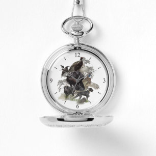 German Wirehaired Pointer   Watch