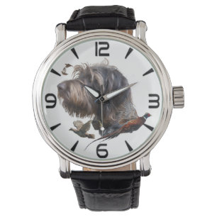 German Wirehaired Pointer   Watch
