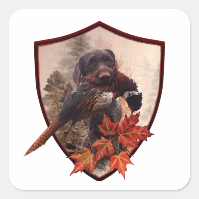 German Wirehaired Pointer with pheasant in hunting Square Sticker (Front)