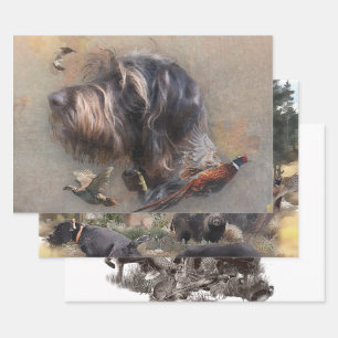 German Wirehaired Pointer   Wrapping Paper Sheet