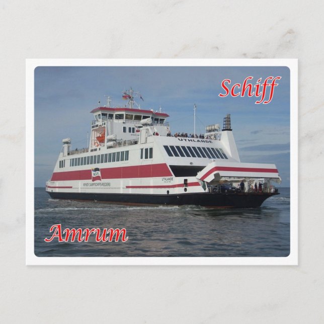 Germany - Amrum - Postcard (Front)