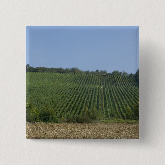Germany, Franconia, Rothenburg. View along the 2 Inch Square Button (Front)
