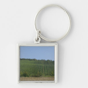 Germany, Franconia, Rothenburg. View along the Keychain