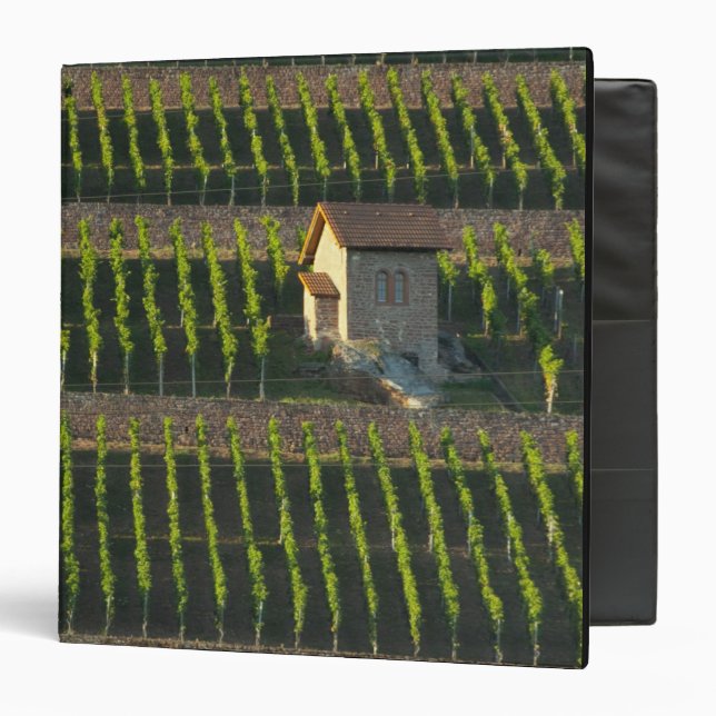 Germany, Franconia, Wertheim. Special hillside 2 Binder (Front/Inside)