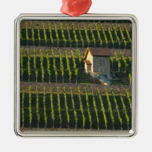 Germany, Franconia, Wertheim. Special hillside 2 Metal Ornament