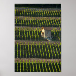 Germany, Franconia, Wertheim. Special hillside 2 Poster