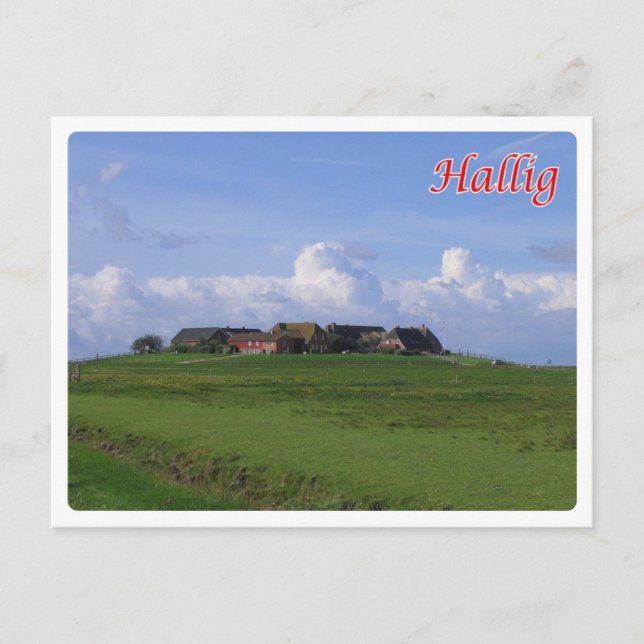 Germany - Hallig - Postcard (Front)
