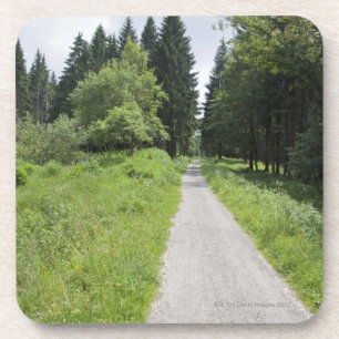 Germany, Thuringia, path in forest Coaster