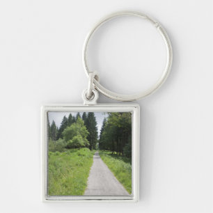 Germany, Thuringia, path in forest Keychain