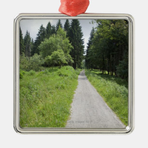 Germany, Thuringia, path in forest Metal Ornament