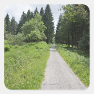 Germany, Thuringia, path in forest Square Sticker