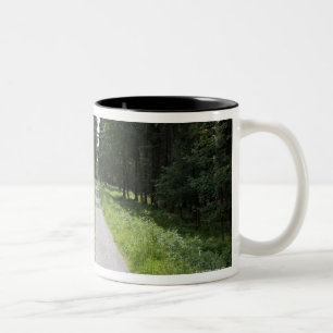 Germany, Thuringia, path in forest Two-Tone Coffee Mug