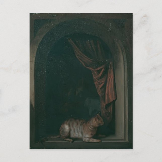 Gerrit Dou- A cat at window of a painters' studios Postcard (Front)