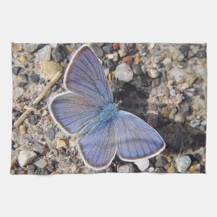 Geschirrtuch blauer Schmetterling Kitchen Towel