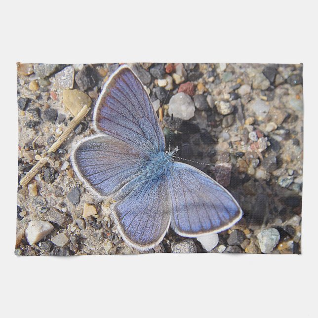 Geschirrtuch blauer Schmetterling Kitchen Towel (Horizontal)