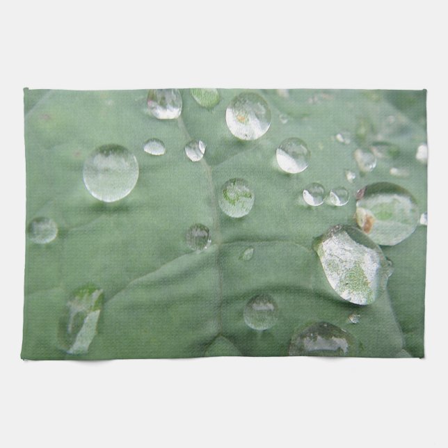 Geschirrtuch Wassertropfen auf grau-grünem Blatt Kitchen Towel (Horizontal)
